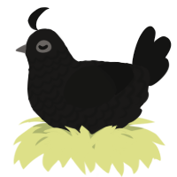 A sable and black chicken with a lace pattern