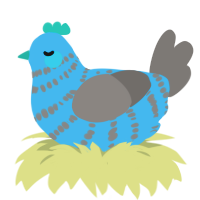 Sam, a sky and grey chicken with a bar pattern
