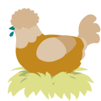 A ochre and beige chicken with a head pattern