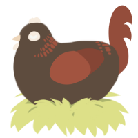 A bark and russet chicken with a neck-band pattern