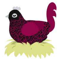 A black and maroon chicken with a double-lace pattern