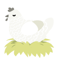 Powder, a white chicken with a lace pattern