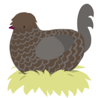Dirt, a bark and grey chicken with a lace pattern