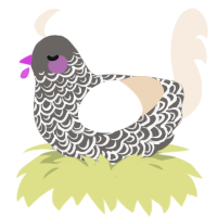 cheesecak, a grey and cream chicken with a double-lace pattern