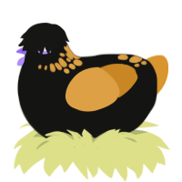 halloweenie, a black and orange chicken with a neck-speckle pattern