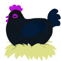 crow², a black and tumblr chicken with a lace pattern