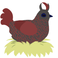 Ares, a grey and red chicken with a double-lace pattern