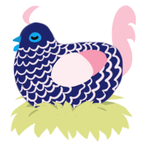 Icing, a navy and rose chicken with a lace pattern