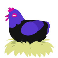 A black and indigo chicken with a head pattern