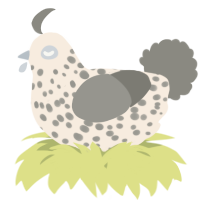 A cream and ash chicken with a speckle pattern