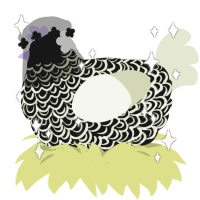 Kiss kiss, a black and lemon chicken with a double-lace pattern