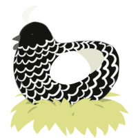 A black and white chicken with a lace pattern