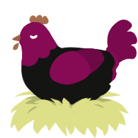 A black and wine chicken with a head pattern