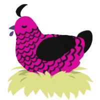 A fuchsia and black chicken with a lace pattern