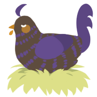 A bark and overcast chicken with a bar pattern