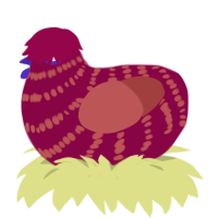 oh look a strawberry, a maroon and red chicken with a bar pattern