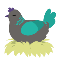 A grey and turquoise chicken with a neck-band pattern