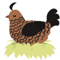 A brown and sable chicken with a lace pattern