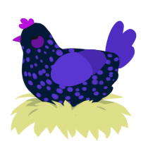 Disco, a tumblr and indigo chicken with a speckle pattern