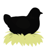 A black and sable chicken with a neck-speckle pattern