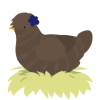 A bark chicken with a bar pattern