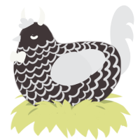 Overcast Skies, a silver and sable chicken with a lace pattern