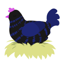 Tripping Down Stairs, a sable and navy chicken with a bar pattern