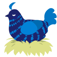 A navy and sapphire chicken with a bar pattern