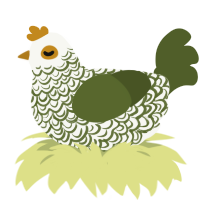 Cabbage, a white and olive chicken with a double-lace pattern