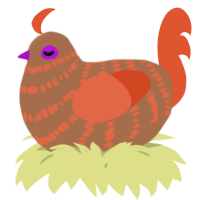 A brown and vermilion chicken with a bar pattern
