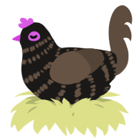 A sable and bark chicken with a bar pattern