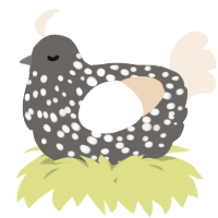 A grey and cream chicken with a speckle pattern