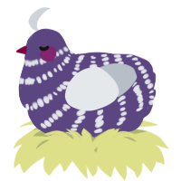 A overcast and mist chicken with a bar pattern