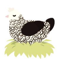 Silver Springs, a rose and black chicken with a double-lace pattern