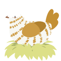 A white and gold chicken with a bar pattern
