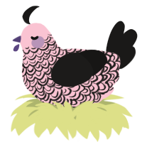 A rose and sable chicken with a double-lace pattern