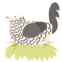 Manuscript, a cream and grey chicken with a lace pattern