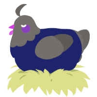 A navy and grey chicken with a head pattern