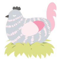 A mist and rose chicken with a bar pattern