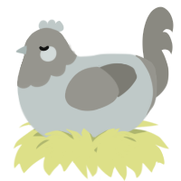 A silver and ash chicken with a head pattern