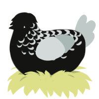 (unnamed), a black and silver chicken with a half-lace pattern