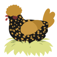 A sable and gold chicken with a speckle pattern