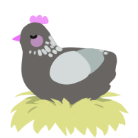 necklette, a grey and silver chicken with a neck-speckle pattern