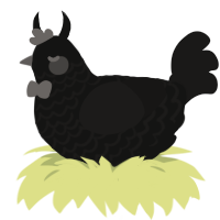 Obsidian, a black and sable chicken with a lace pattern
