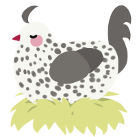 A white and grey chicken with a speckle pattern