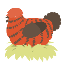 A vermilion and bark chicken with a bar pattern
