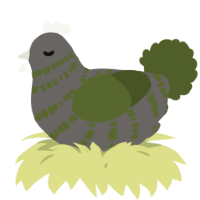 A grey and olive chicken with a bar pattern