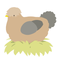 A beige and ash chicken