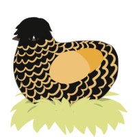 silk, a black and honey chicken with a lace pattern