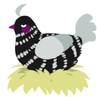 A sable and silver chicken with a bar pattern